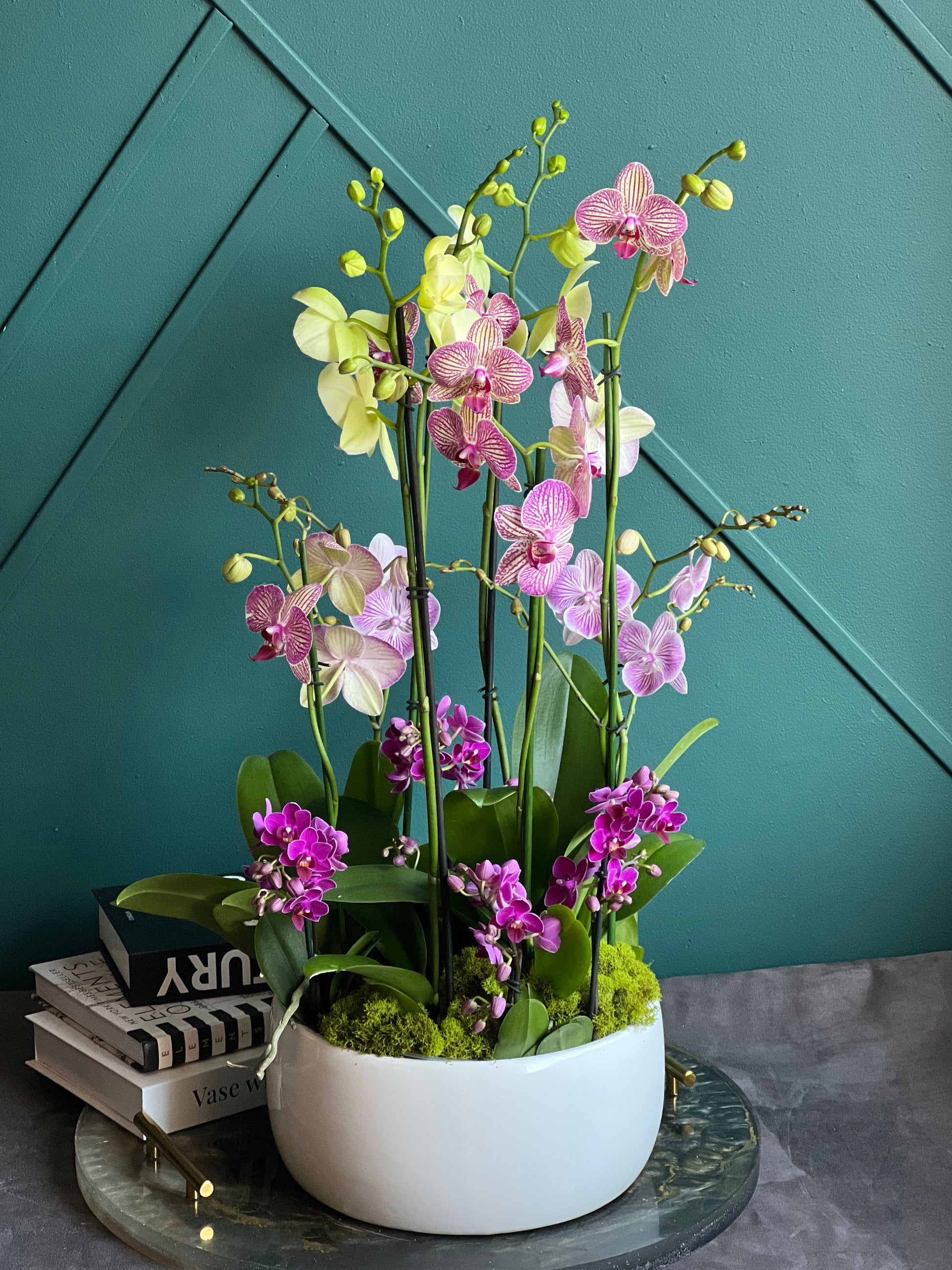 Modern orchid planter featuring premium Phalaenopsis flowers