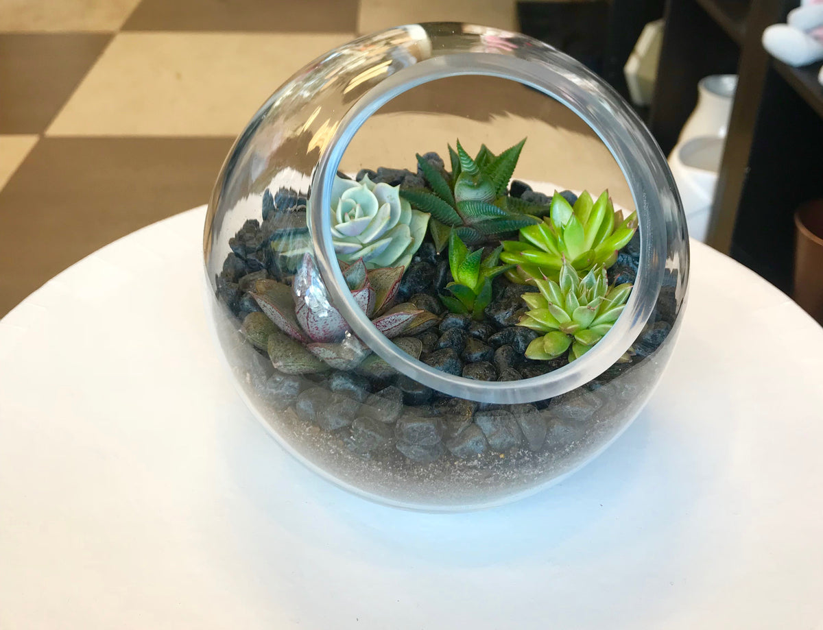 Modern succulent arrangement in round clear glass bowl