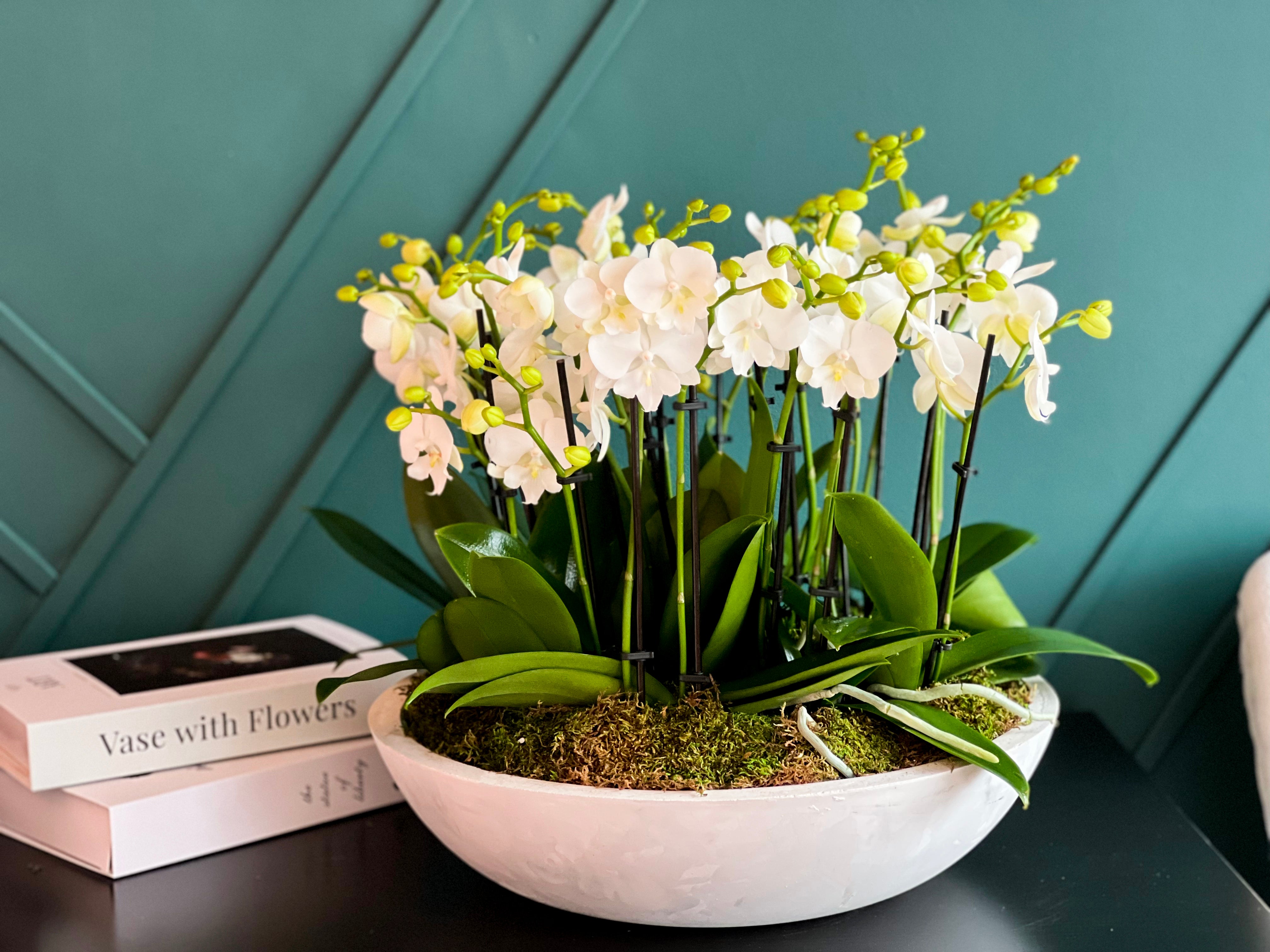 Modern white orchid centerpiece in custom cement vase