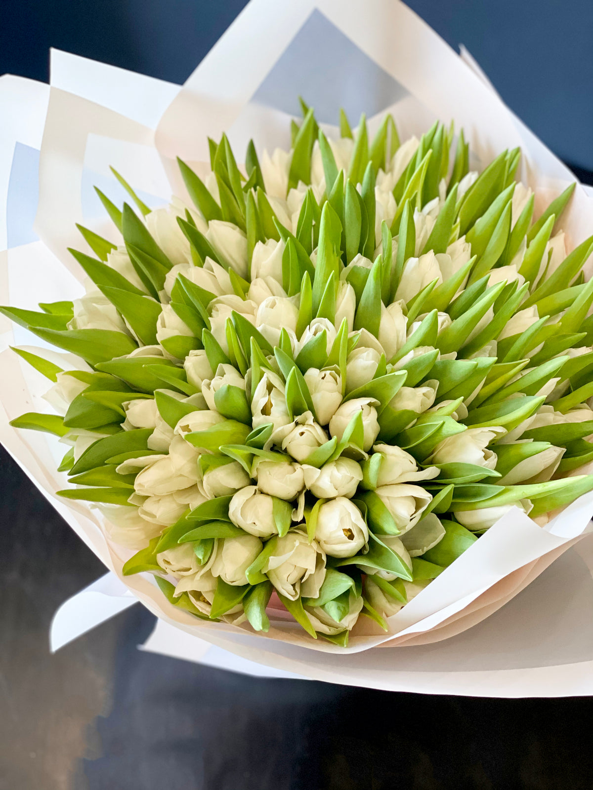 Oversized 150 white tulips bouquet in Miami Beach