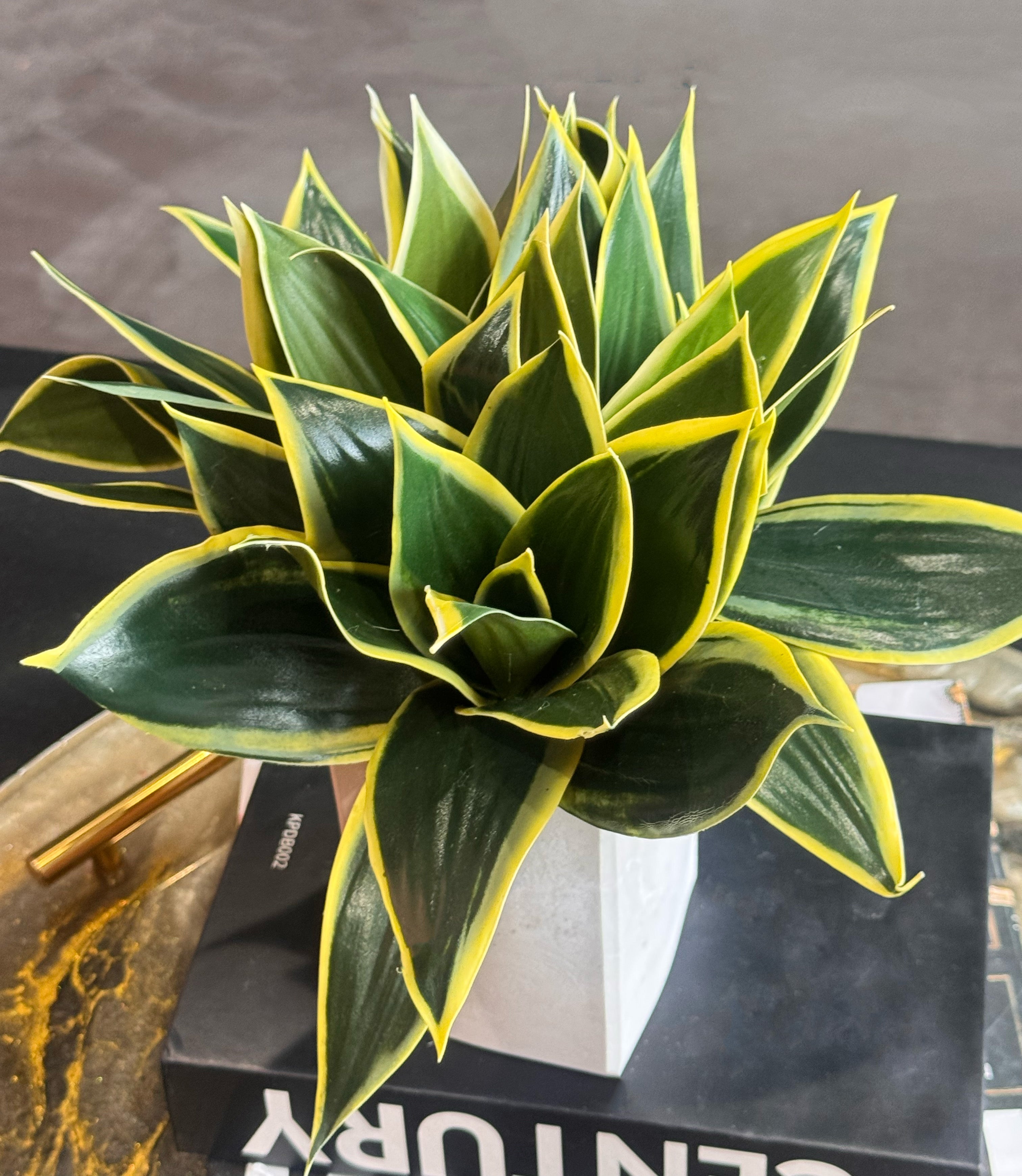 Premium artificial Sansevieria for coffee table and office décor.