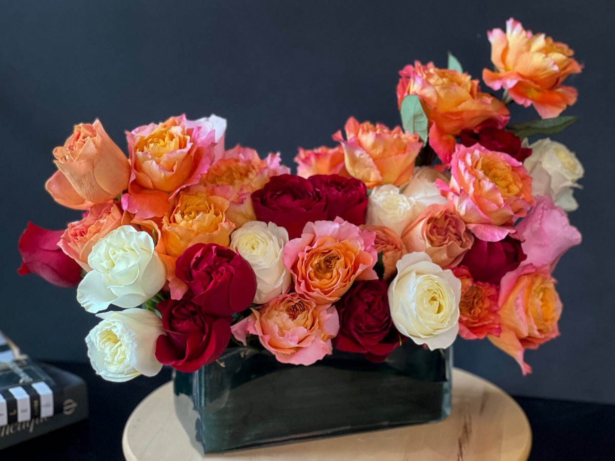 Premium garden roses in pink peach and ivory tones Miami