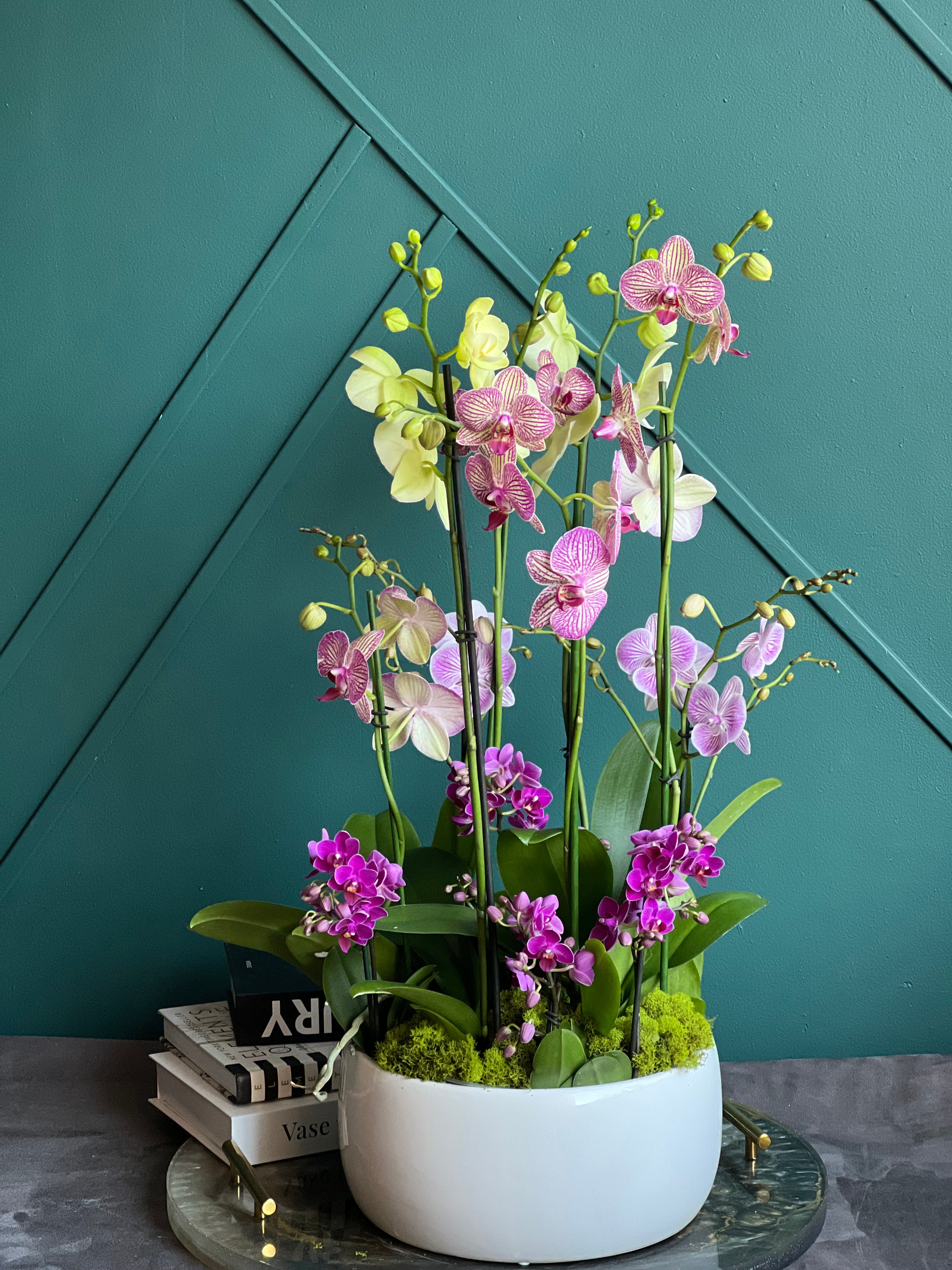 Premium live orchid arrangement handcrafted by Luxury Flowers Miami