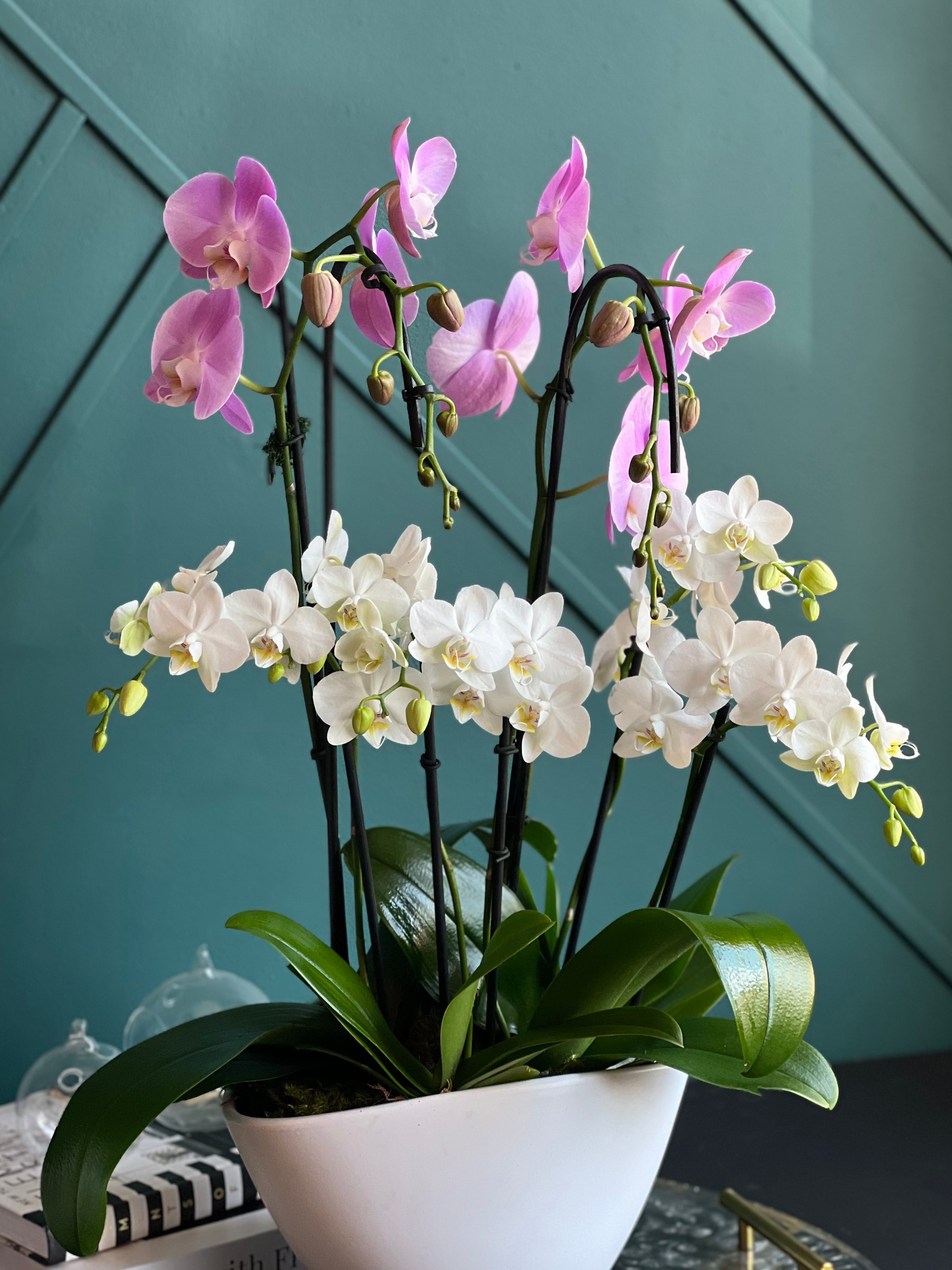 Premium orchid garden centerpiece by Luxury Flowers Miami