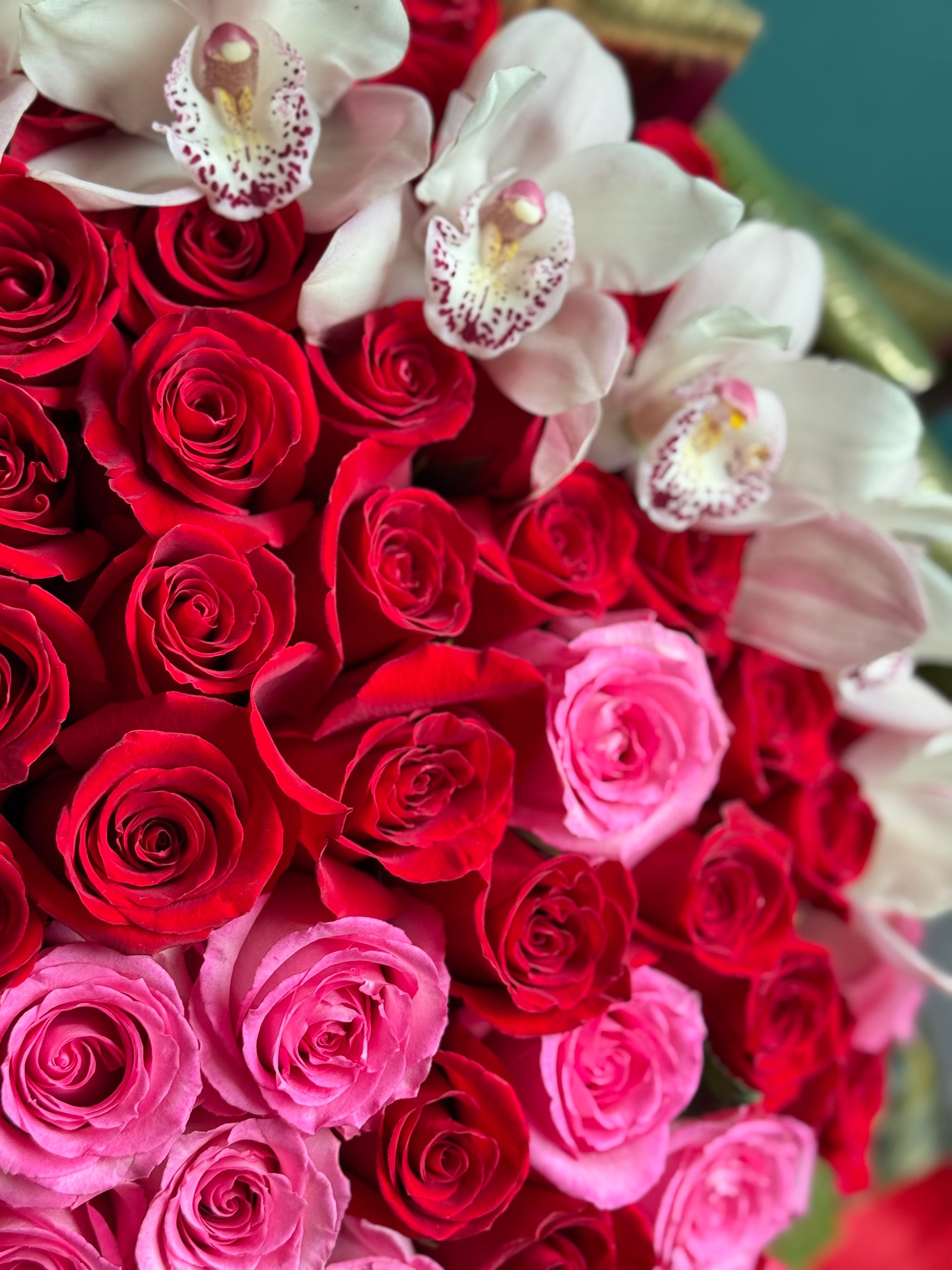 Premium red and pink rose box with cymbidium orchids Miami