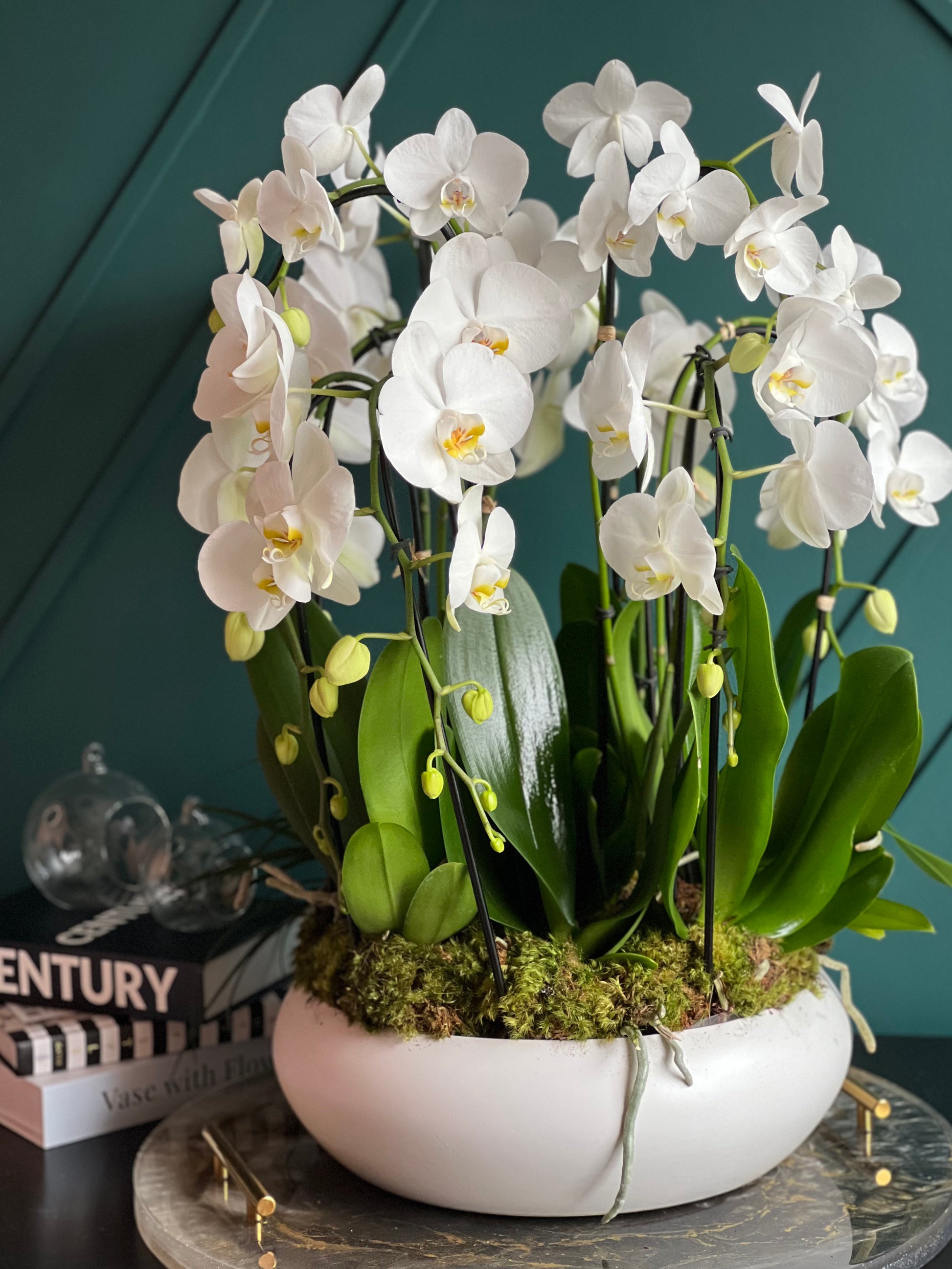 Premium waterfall White Phalaenopsis orchid arrangement with 10 blooming stems