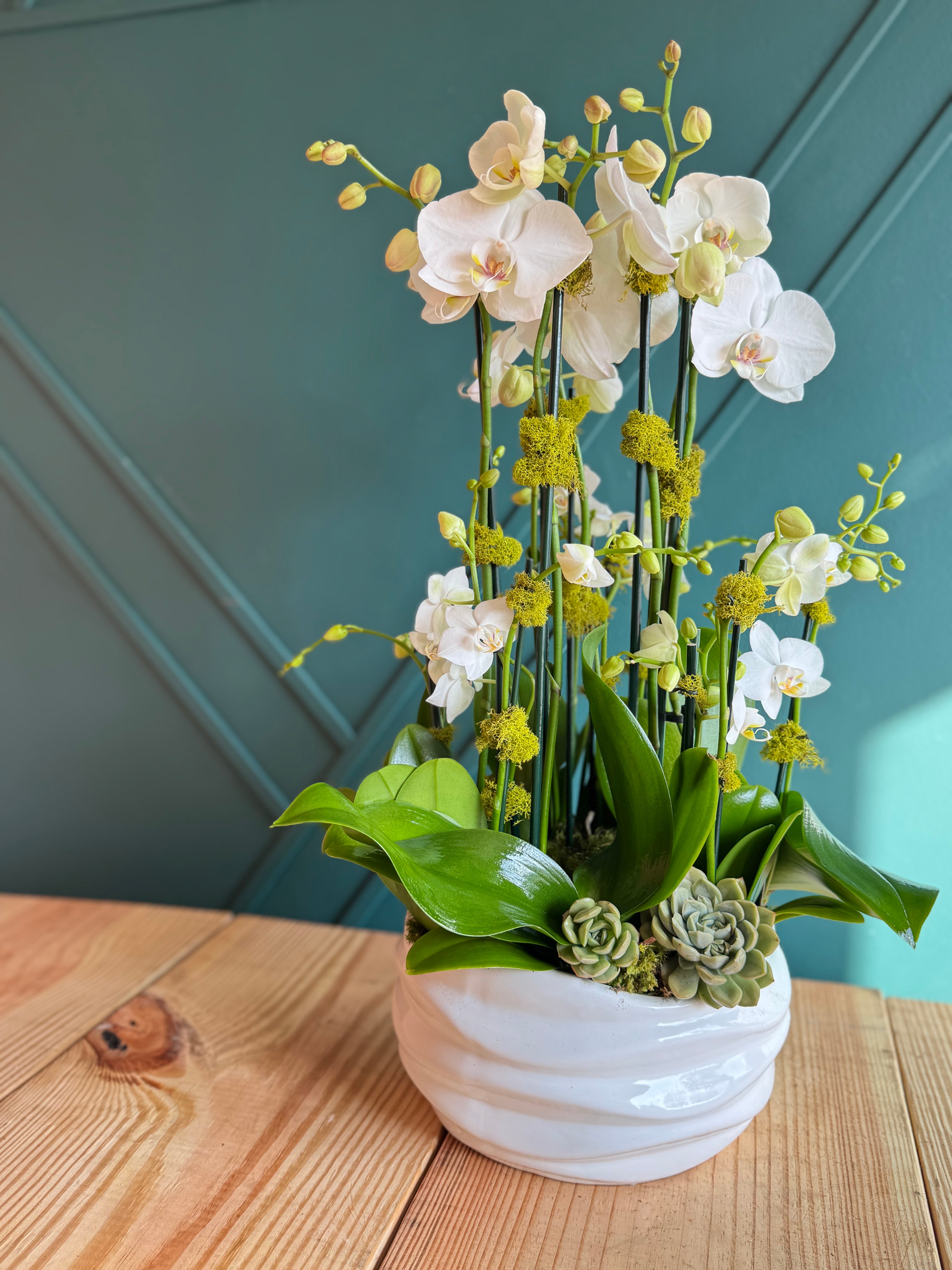 Premium white orchid arrangement for home décor