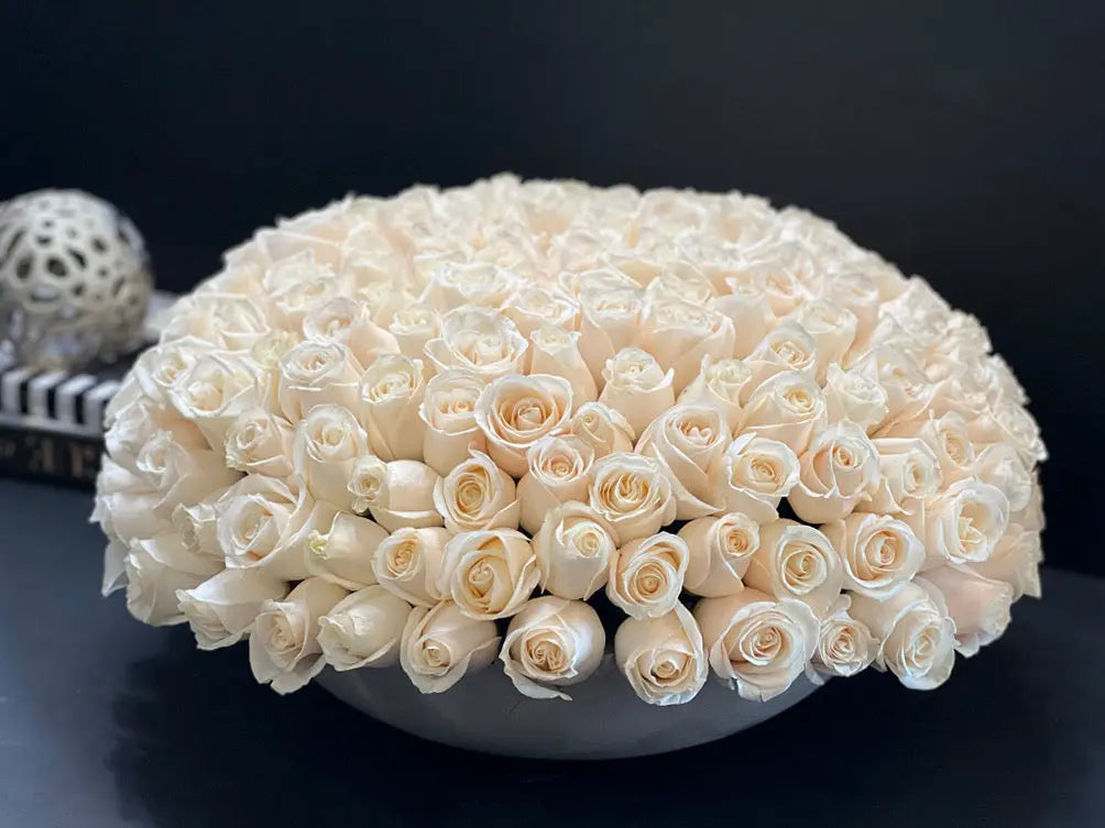 Premium white roses in concrete bow