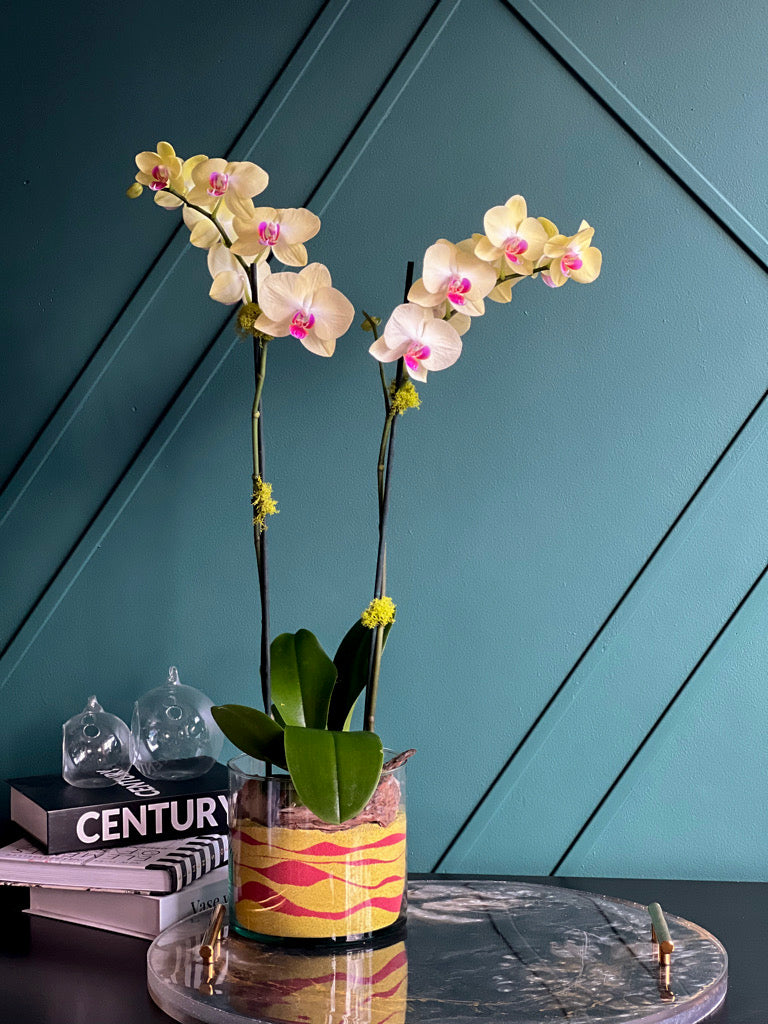 Premium yellow orchid centerpiece by Luxury Flowers Miami