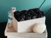 Preserved black roses in white cement container Miami