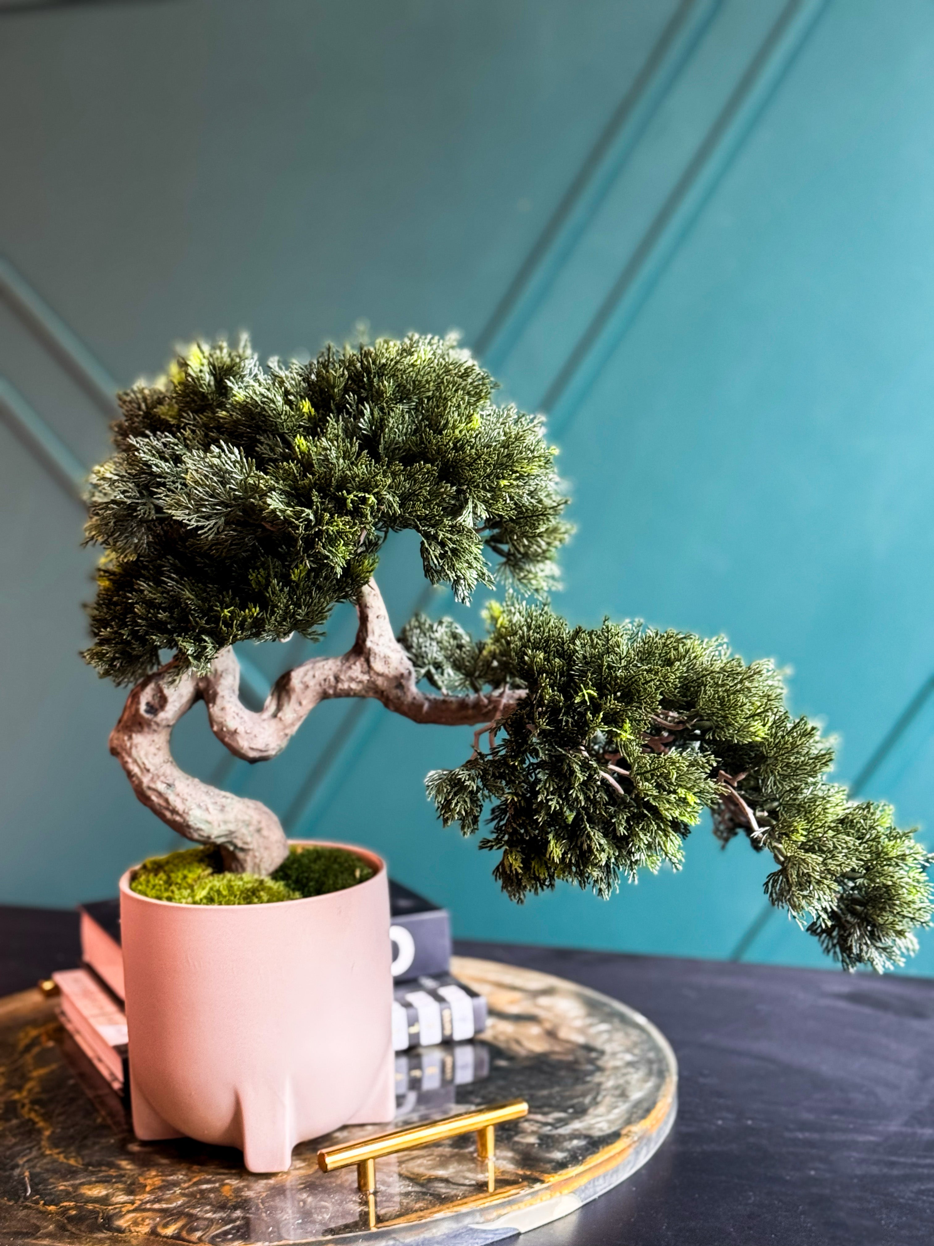 Real Touch faux bonsai tree handcrafted for luxury home décor.