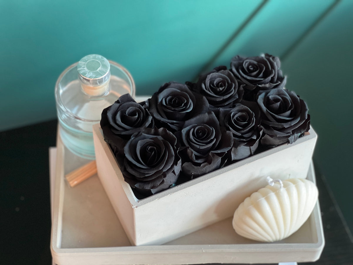 Real preserved black roses in modern white container