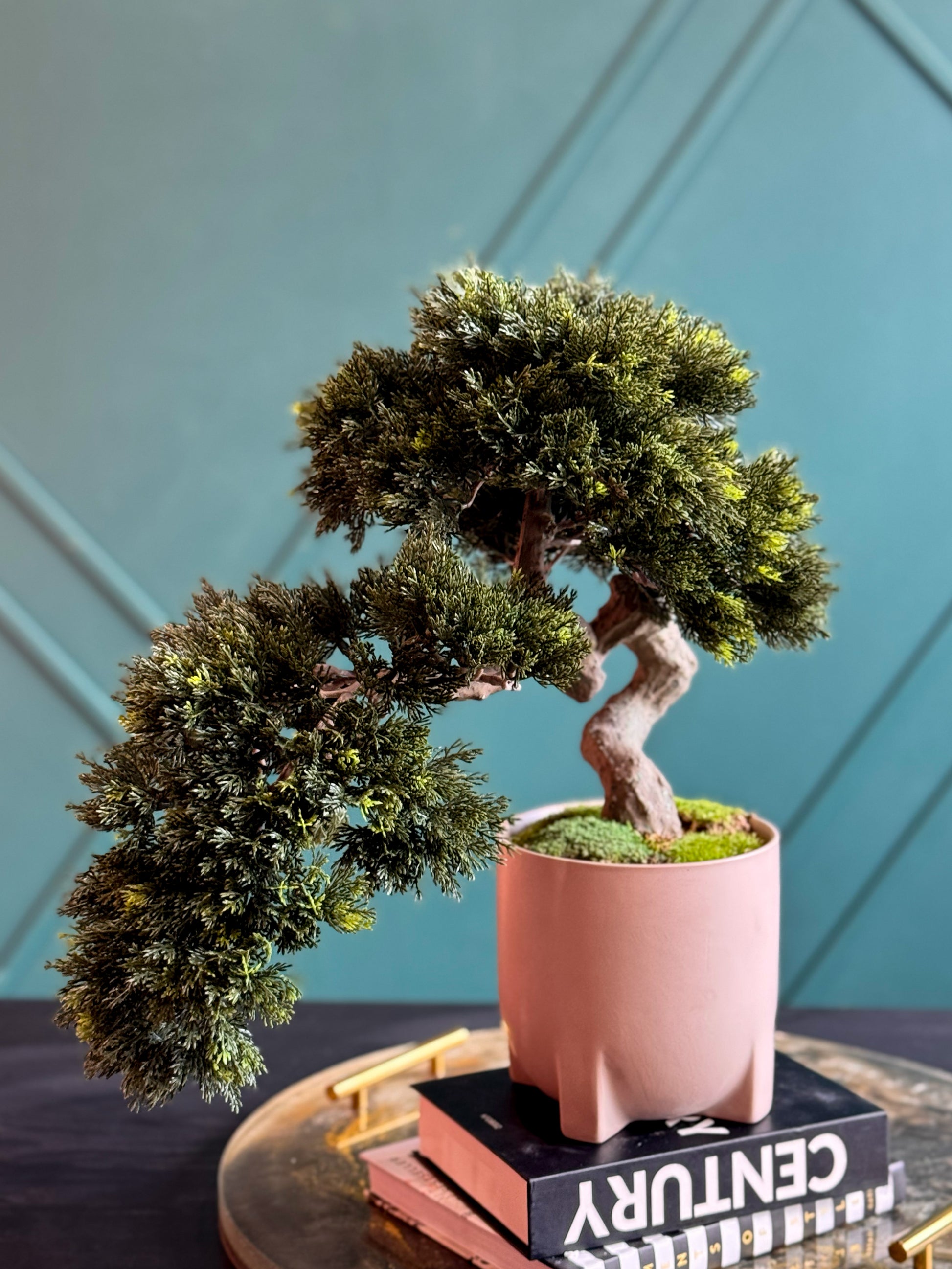 Realistic artificial bonsai plant for modern minimalist interiors.