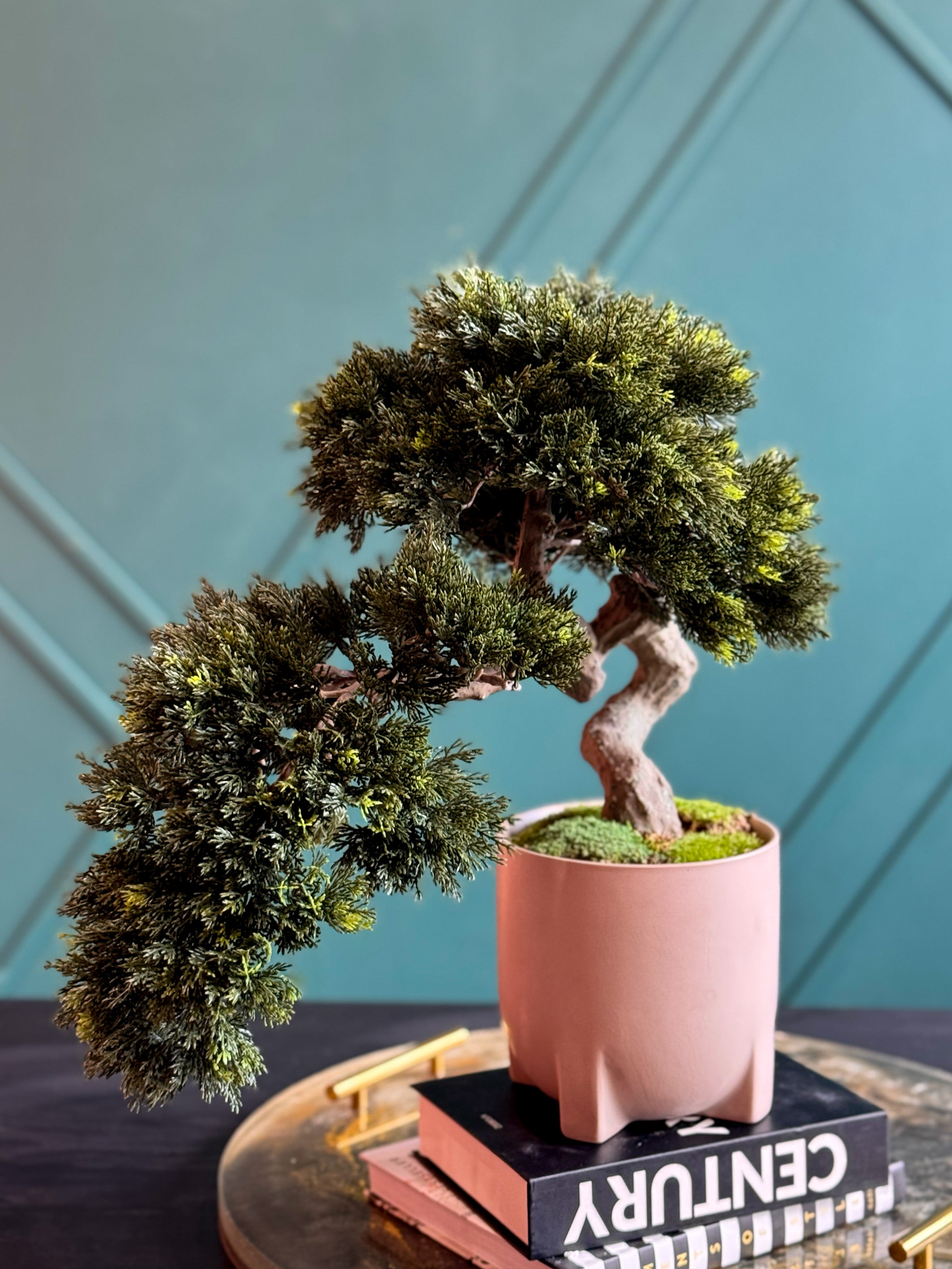 Realistic artificial bonsai plant for modern minimalist interiors.