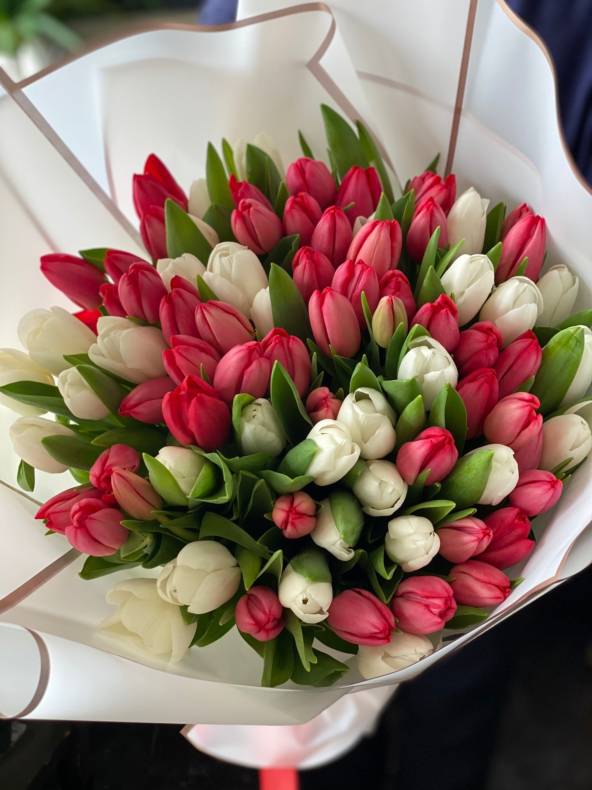 Red and white tulips for romantic flower delivery in Miami