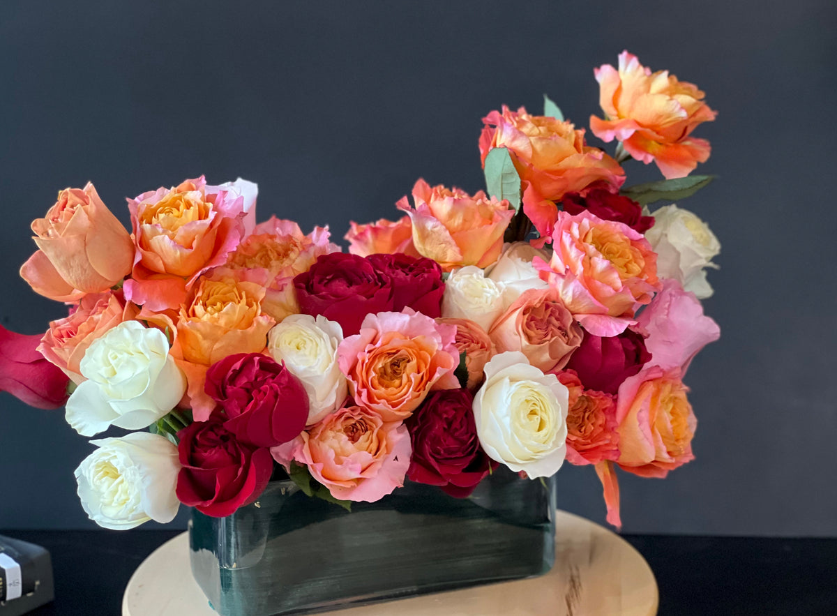Rose Harmony garden roses arrangement Miami