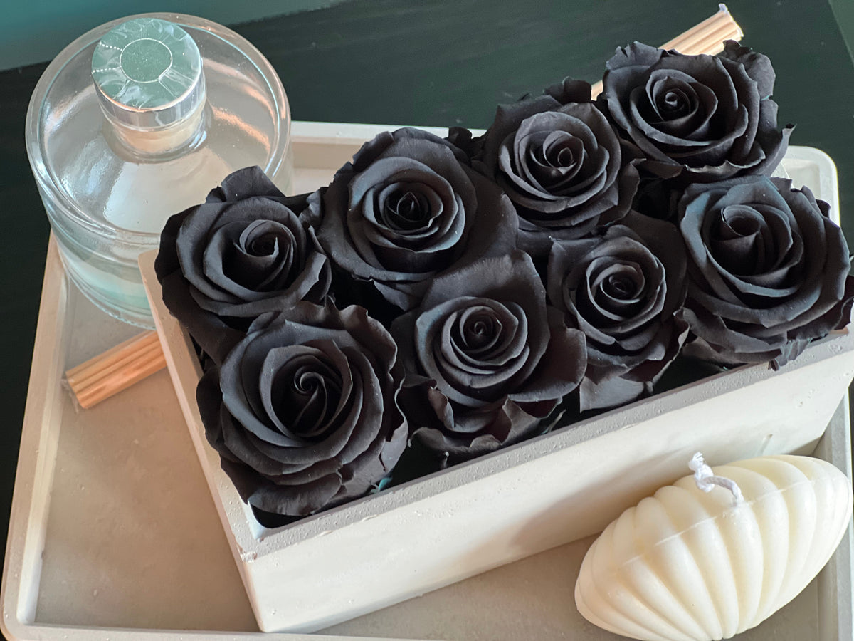 Simplicity Black preserved roses luxury gift set