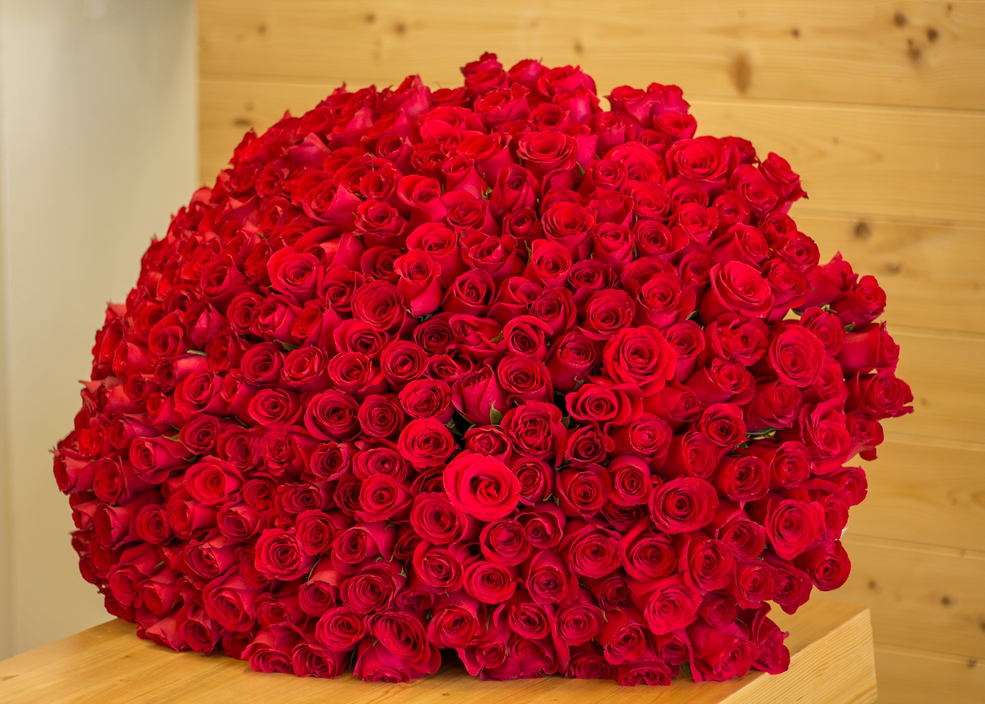 Spectacular oversized red rose bouquet Miami