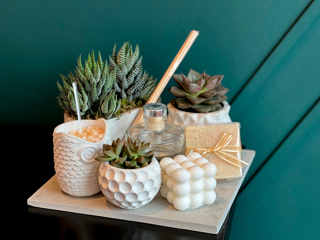 Succulent Gift Set with candles and home fragrance Miami