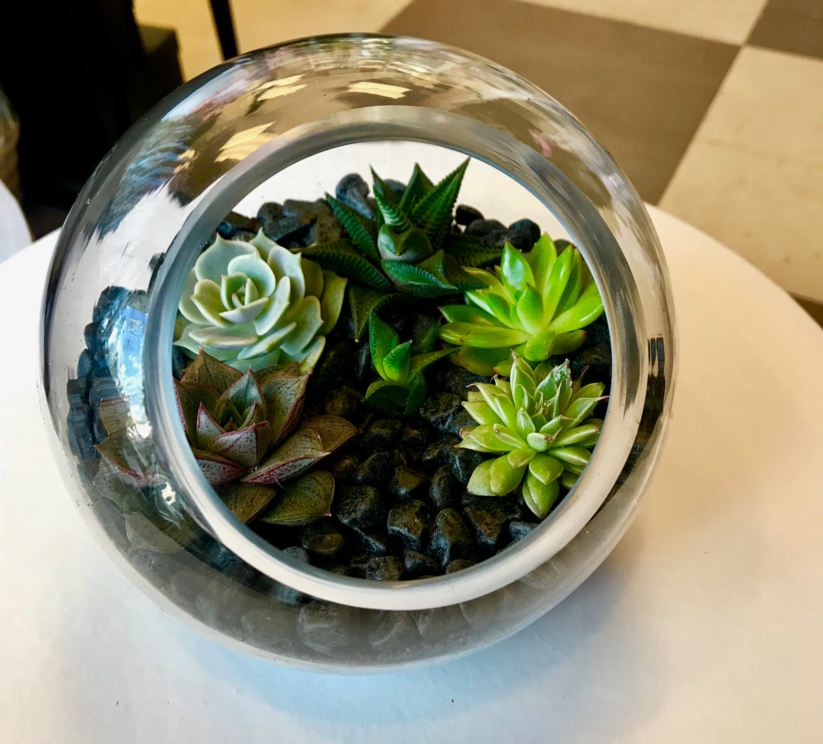 Succulent Terrarium in clear glass bowl with decorative stones