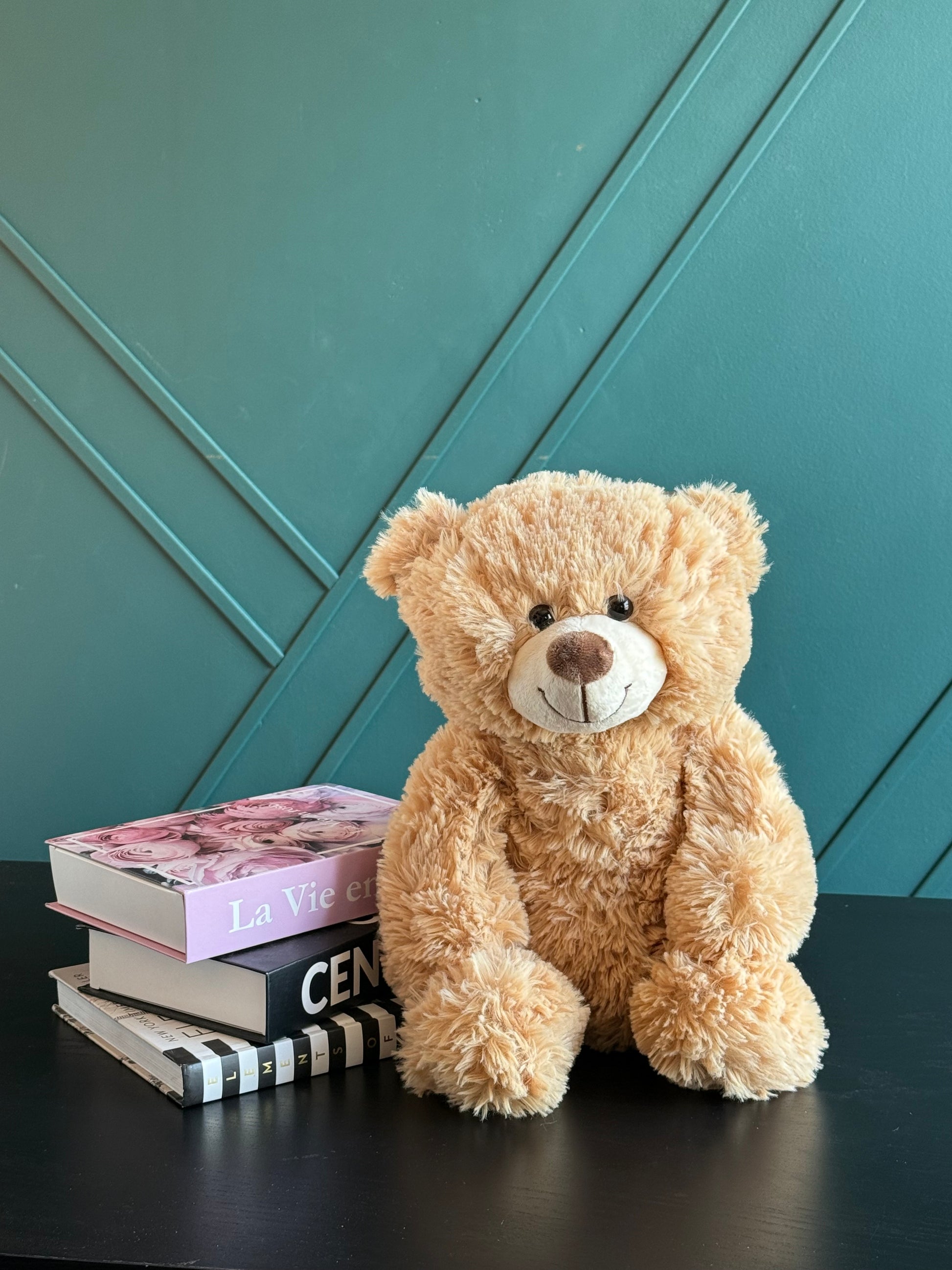 Teddy bear gift available for Miami Beach delivery