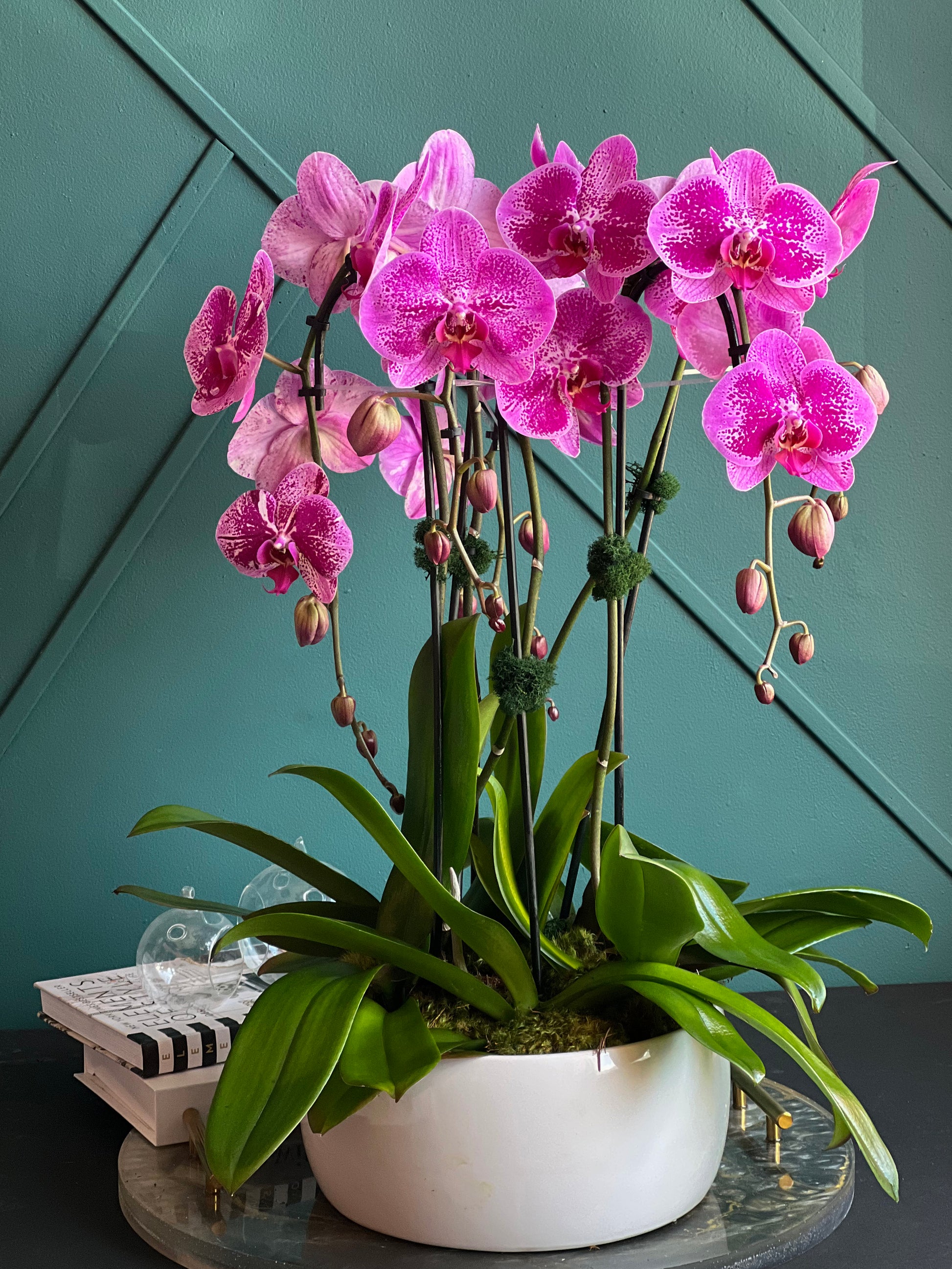 Waterfall pink orchid arrangement for South Beach décor