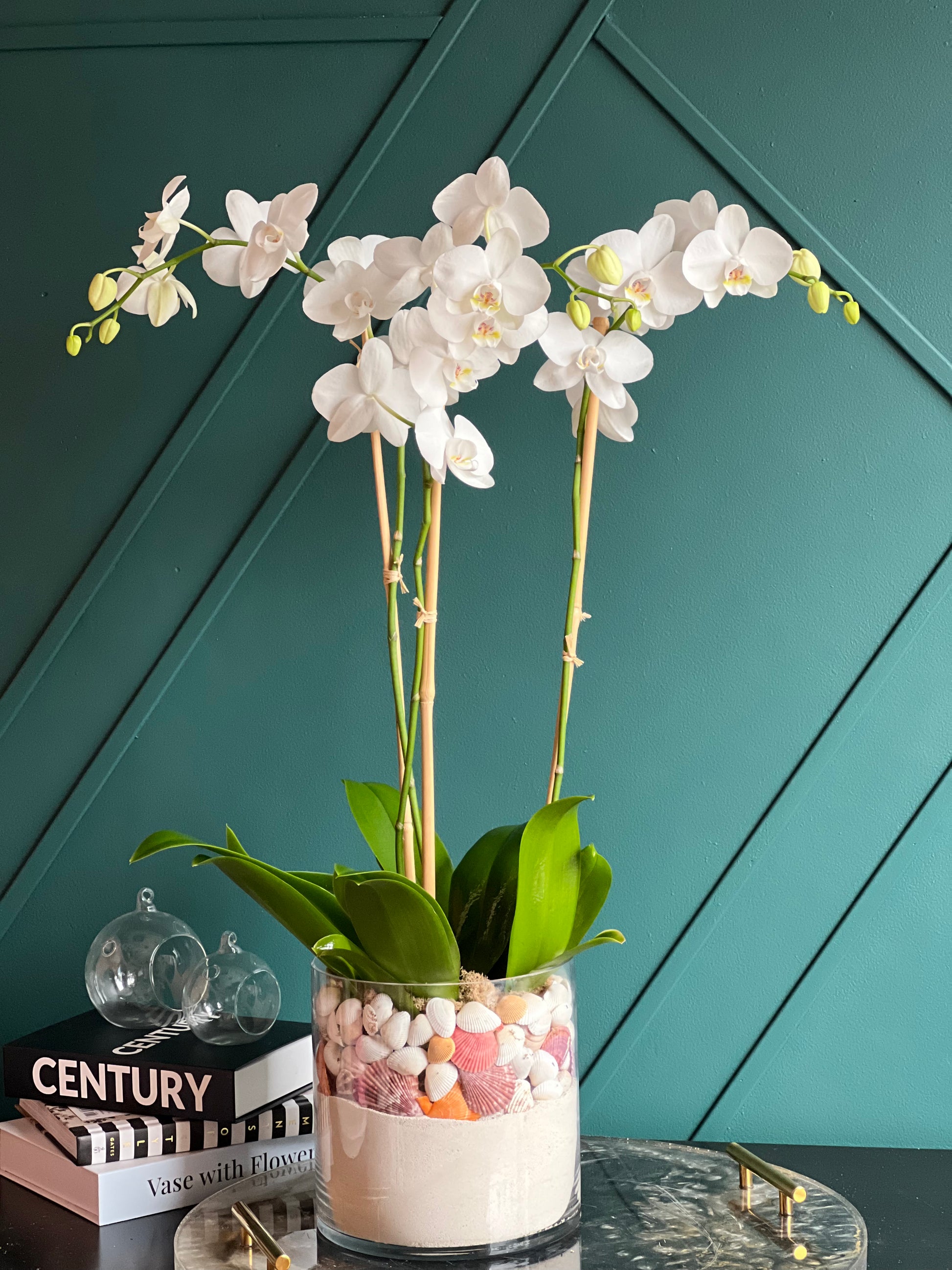 White Phalaenopsis orchids for Miami Beach home décor