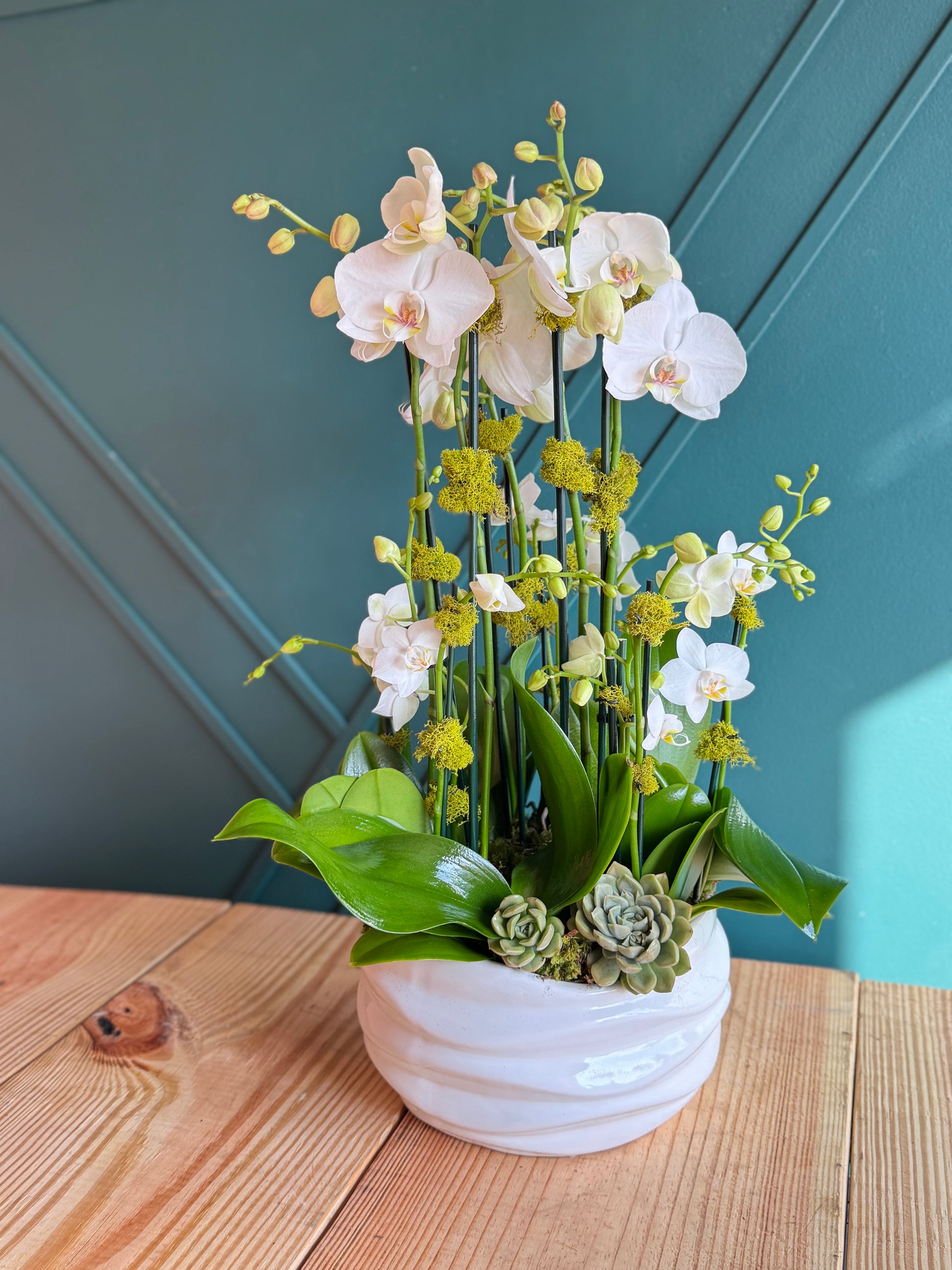 White orchid arrangement in ceramic bowl