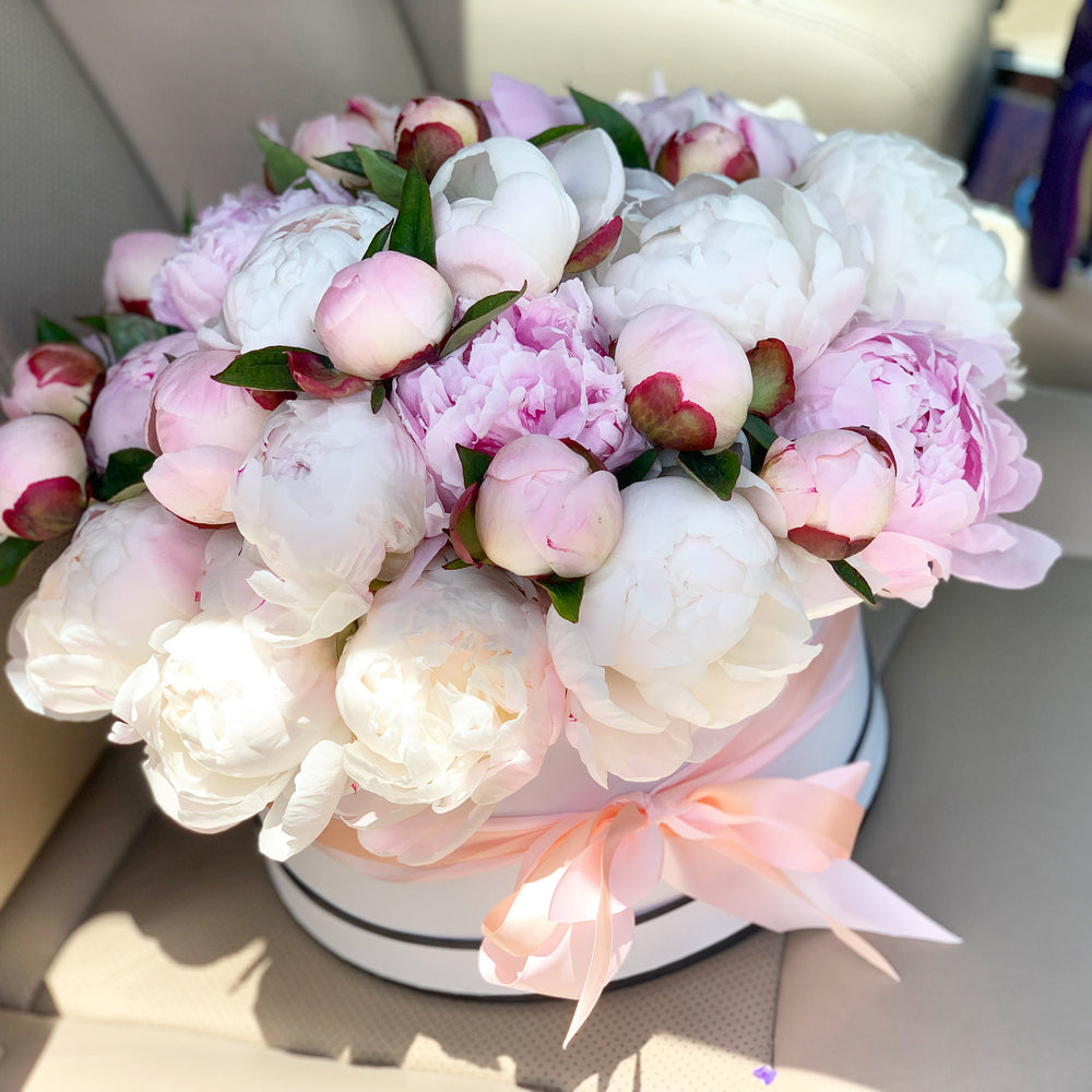 Peonies for flower delivery in Miami