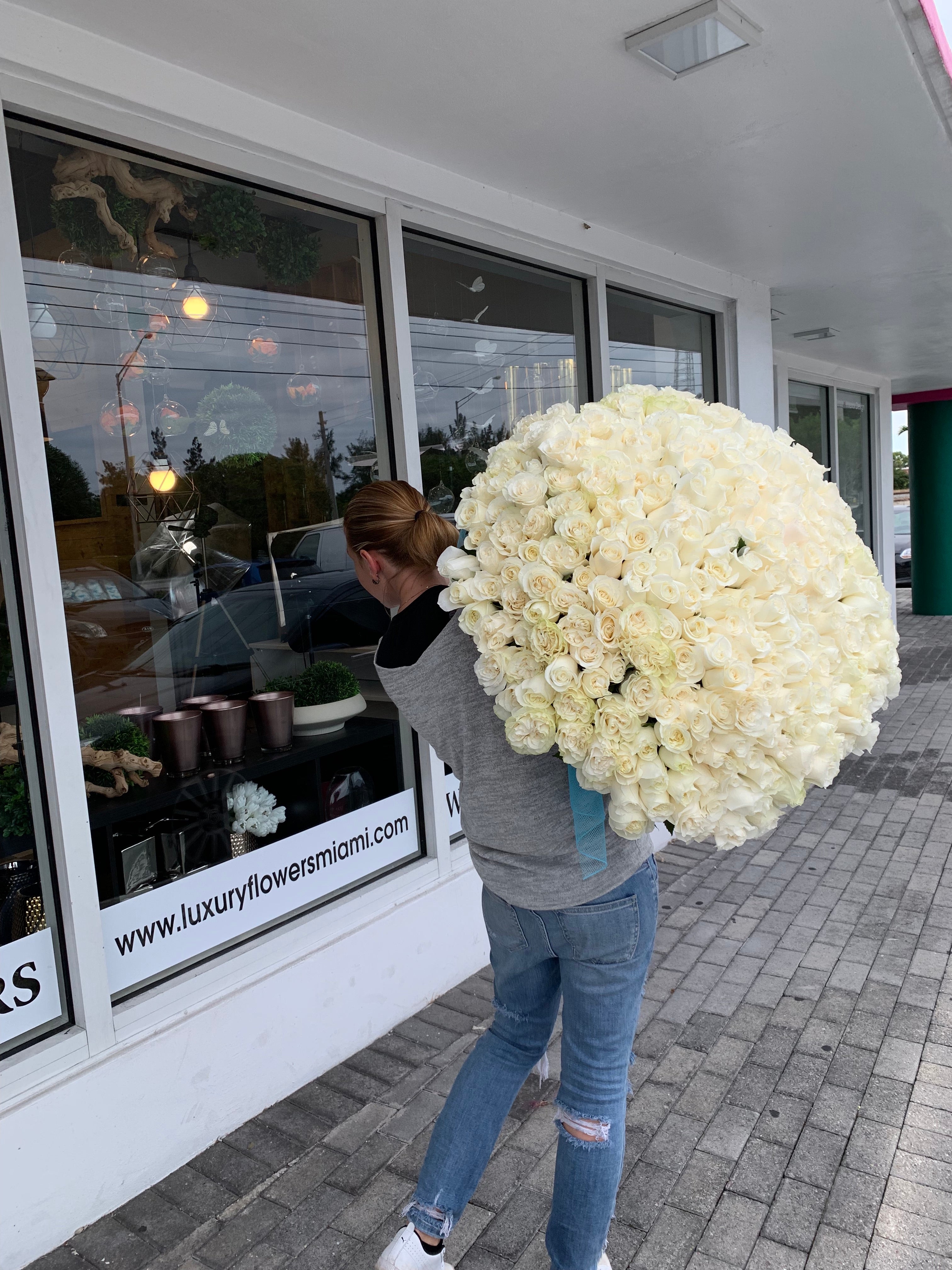 giant 300 white rose bouquet for Miami proposal