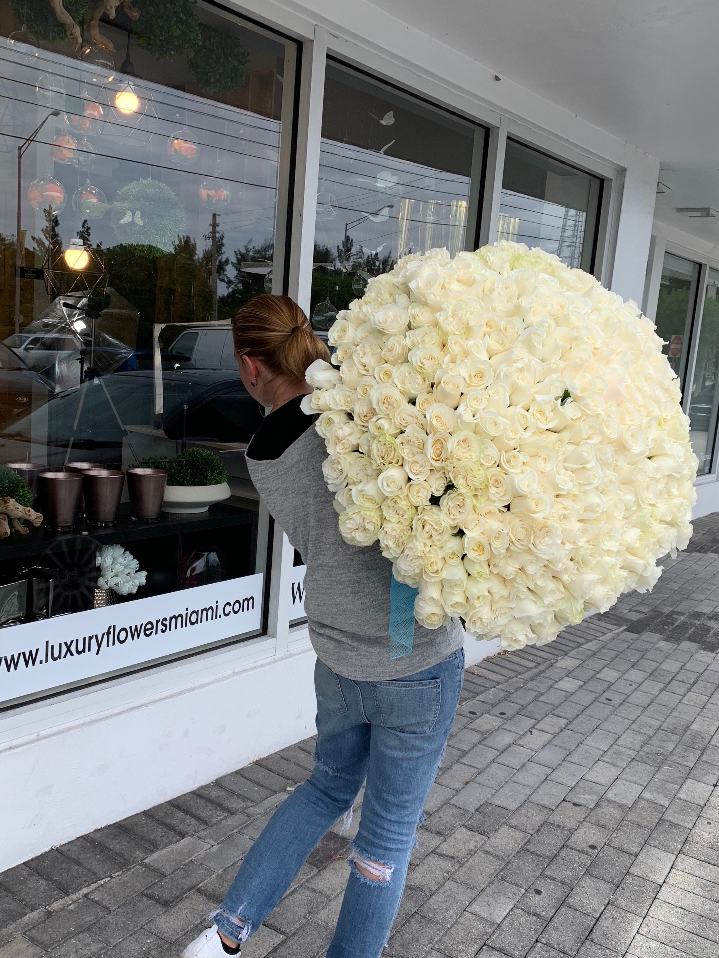 huge round bouquet of 300 white roses Miami