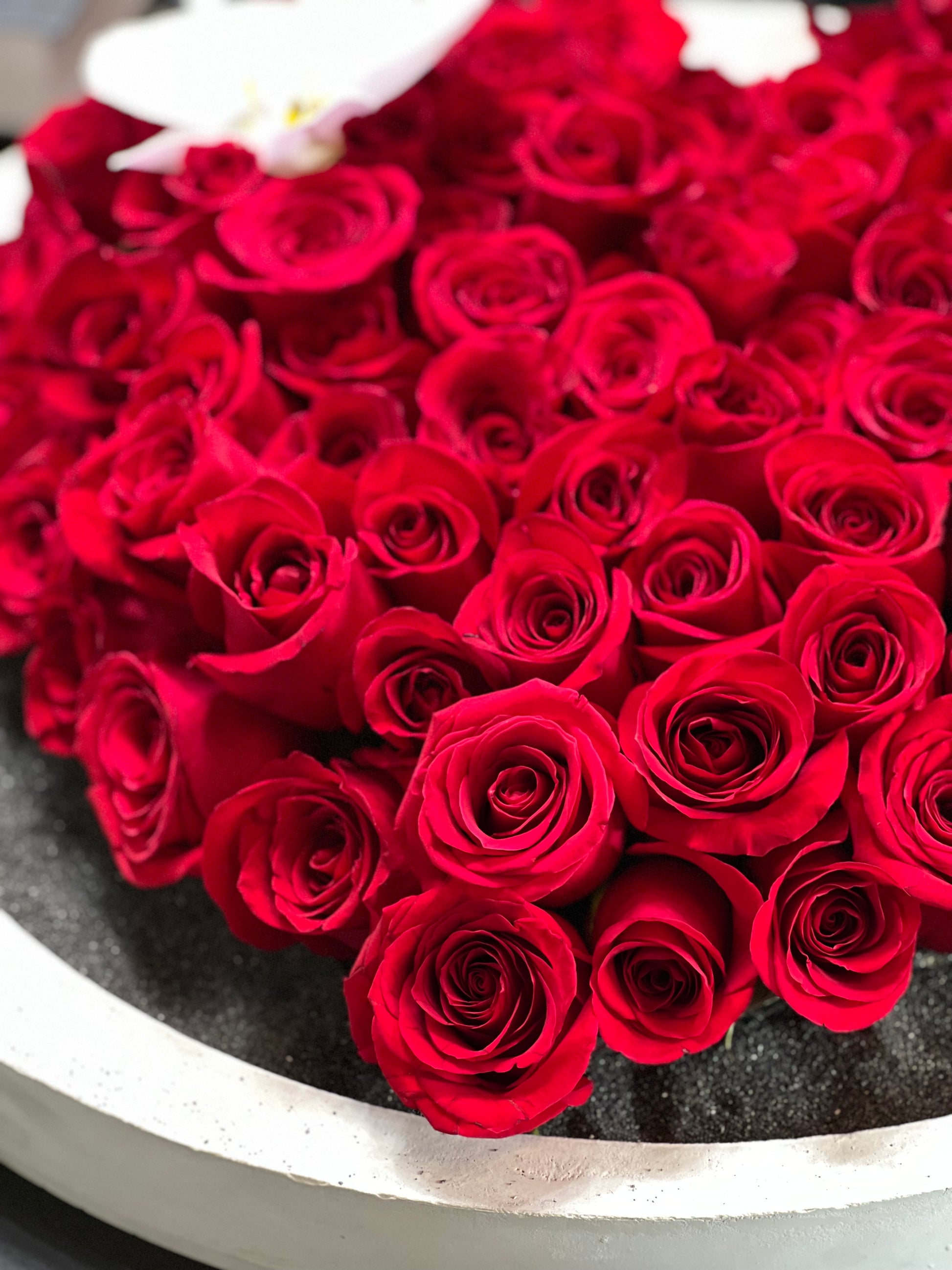luxury red roses in handcrafted cement tray Miami