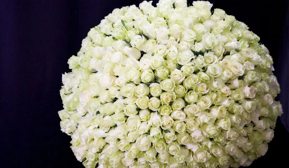 300 White Roses – Giant Luxury Rose Bouquet Miami buy online Luxury Flowers Miami