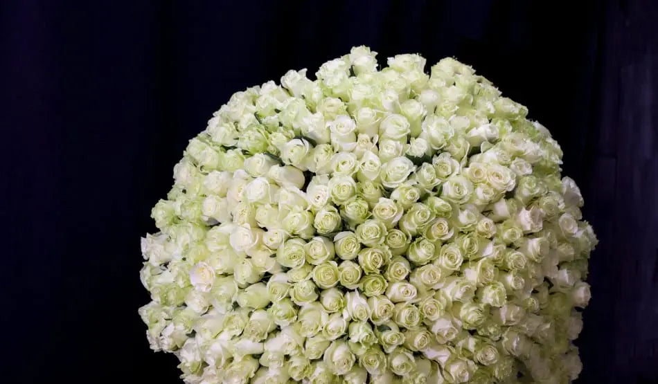 300 White Roses – Giant Luxury Rose Bouquet Miami buy online Luxury Flowers Miami
