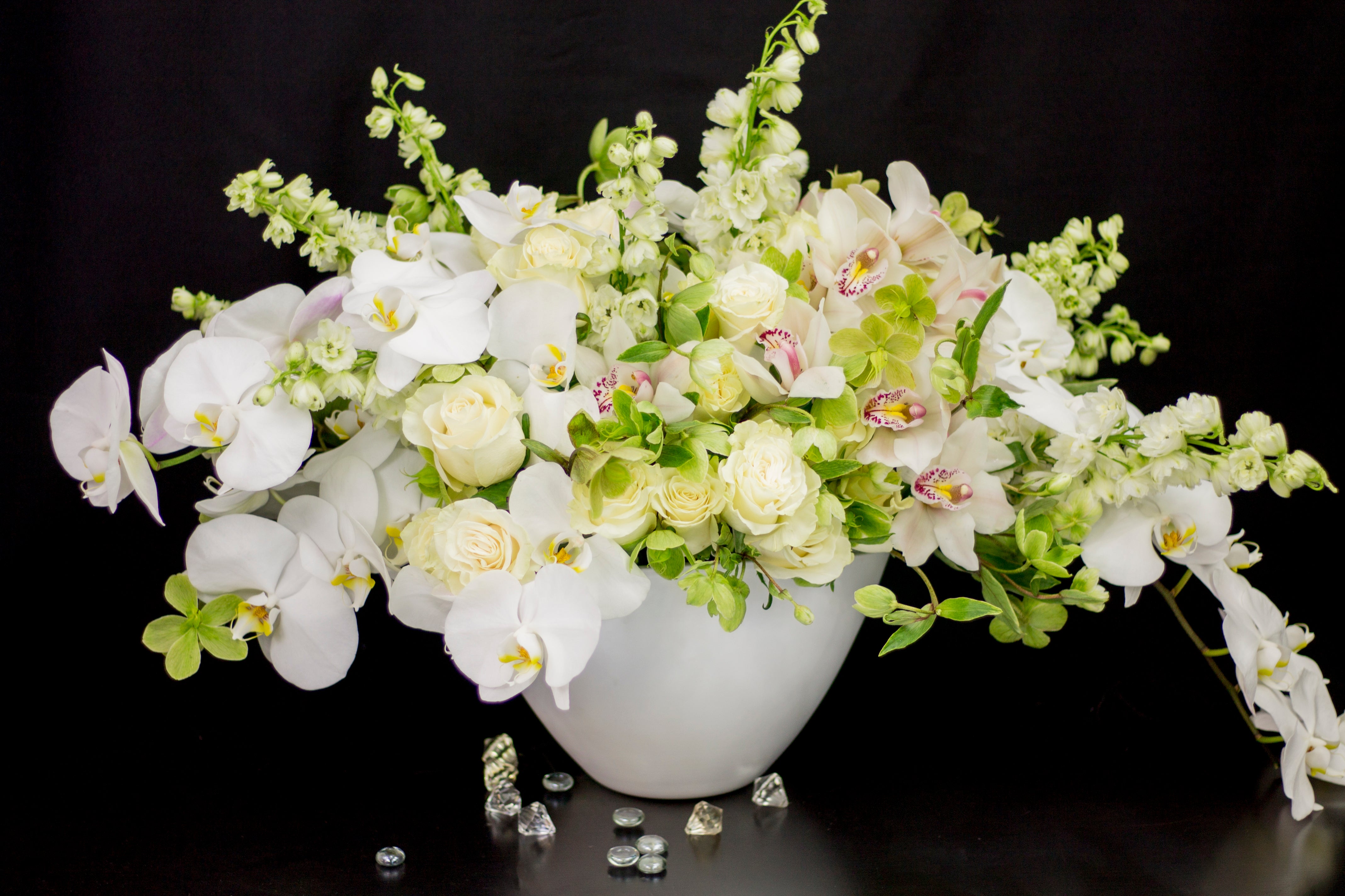 white phalaenopsis orchid arrangement Miami